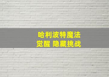 哈利波特魔法觉醒 隐藏挑战